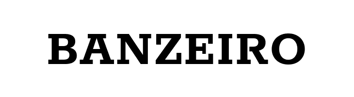 Rokkitt Bold  Free Fonts Download