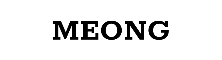 Rokkitt Bold  Free Fonts Download