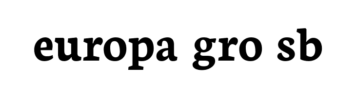 Neuton Bold  Free Fonts Download