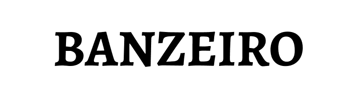 Alegreya Bold  Free Fonts Download