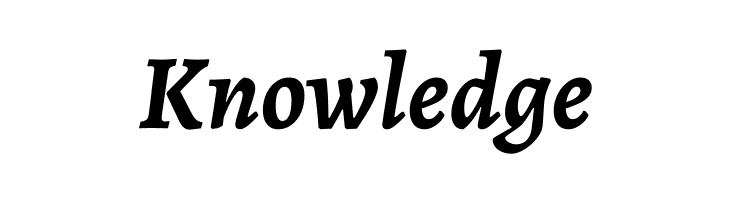 Alegreya Bold Italic  Free Fonts Download