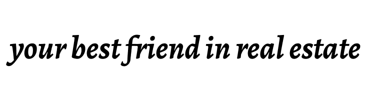 Alegreya Bold Italic  Free Fonts Download