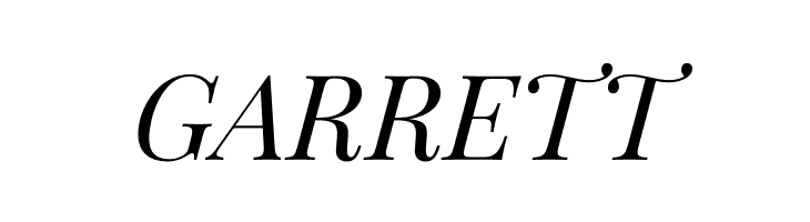 PlayfairDisplay-Italic  Free Fonts Download