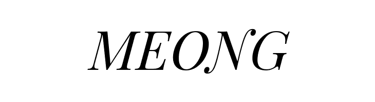 Playfair Display Italic  Free Fonts Download