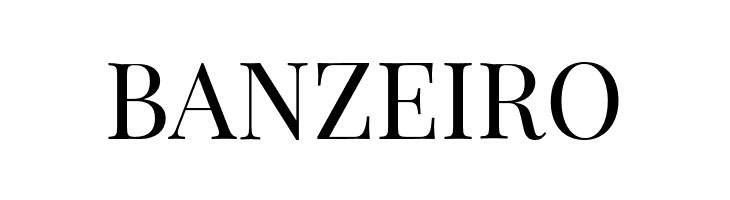 PlayfairDisplay  Free Fonts Download