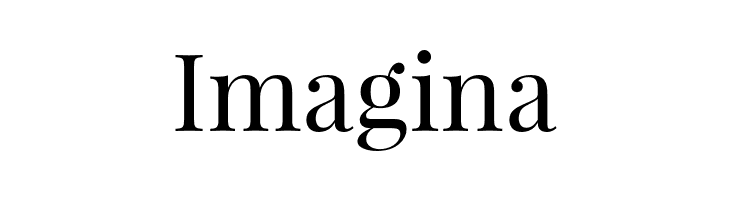 PlayfairDisplay  Free Fonts Download