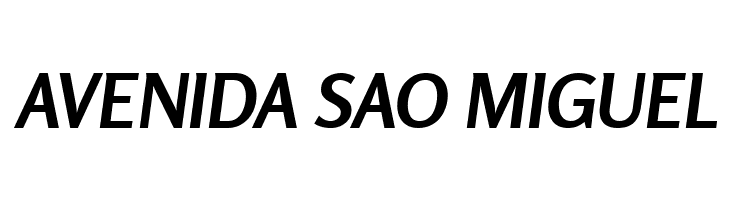 Rosario Bold Italic  Free Fonts Download