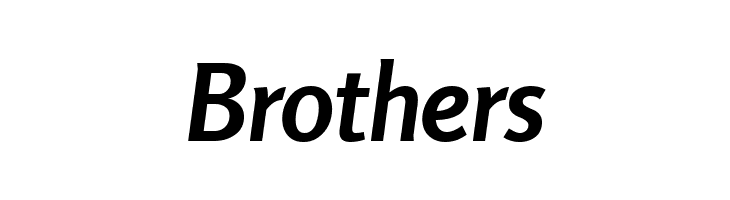 Rosario Bold Italic  Free Fonts Download