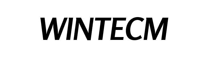 Rosario Bold Italic  Free Fonts Download