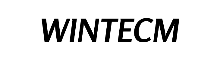 Rosario-BoldItalic  Free Fonts Download