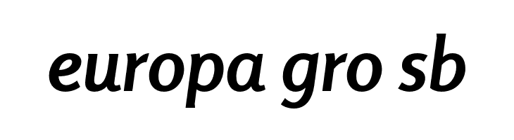 Rosario-BoldItalic  Free Fonts Download