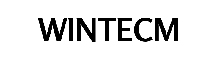 Rosario Bold  Free Fonts Download