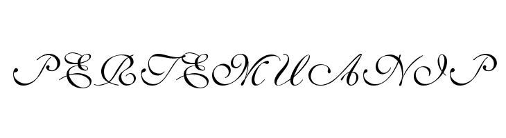 ILS Script  Free Fonts Download