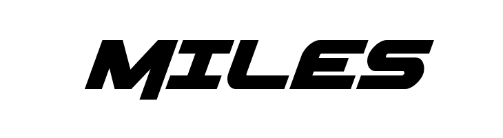 Gemina Italic  Free Fonts Download