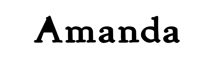 NewStyle Bold  Free Fonts Download