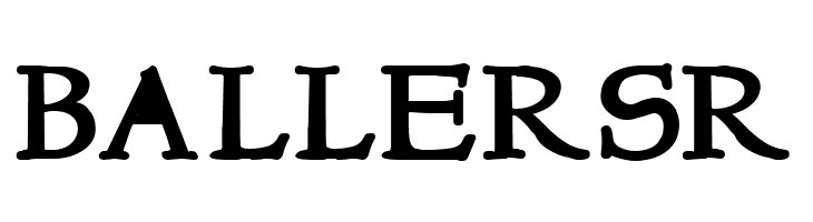 NewStyle Bold  Free Fonts Download