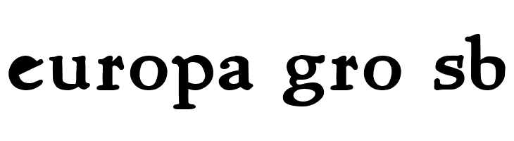 NewStyle Bold  Free Fonts Download