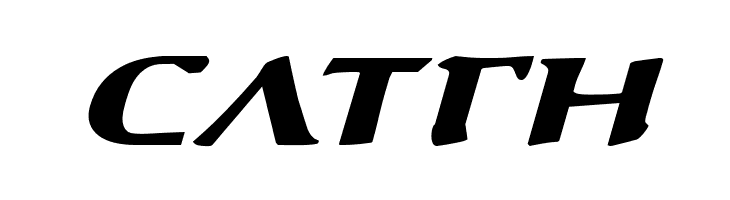 Aegis Expanded Italic  Free Fonts Download