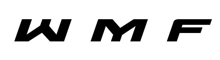 Wildcard Expanded Italic  Free Fonts Download