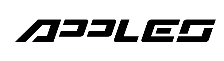 Wildcard Italic  Free Fonts Download