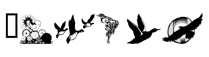 wmbirds1  Free Fonts Download