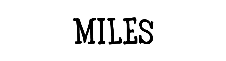 BE Marker  Serif_SW  Free Fonts Download