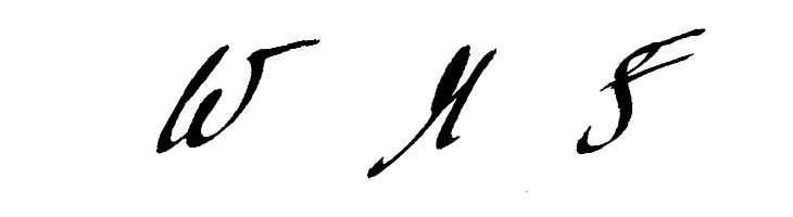 Mickey Script  Free Fonts Download