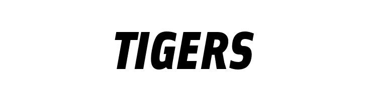 Ellipsoideogram  Free Fonts Download