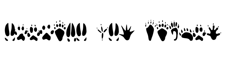 animaltracksPQSEWVRZ  Free Fonts Download