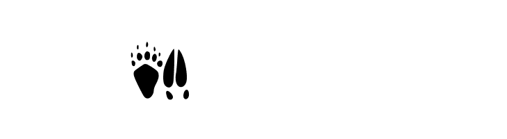 animaltracksPQSEWVRZ  Free Fonts Download