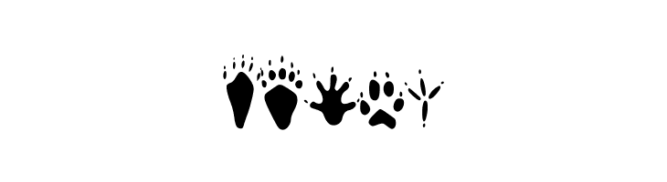 animaltracksPQSEWVRZ  Free Fonts Download