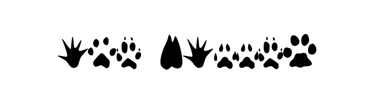 animaltracksPQSEWVRZ  Free Fonts Download