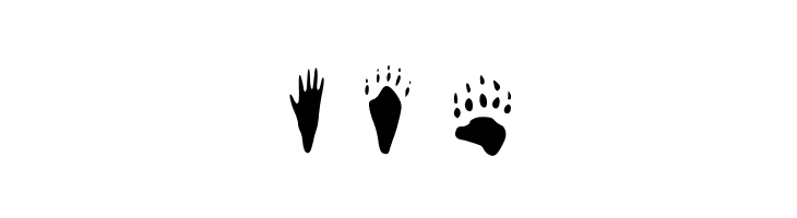 animaltracksPQSEWVRZ  Free Fonts Download