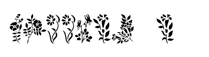 Wildflowers1  Free Fonts Download