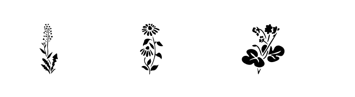 Wildflowers1  Free Fonts Download