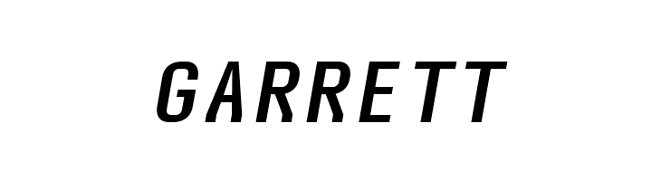 Audimat Mono Oblique  Free Fonts Download