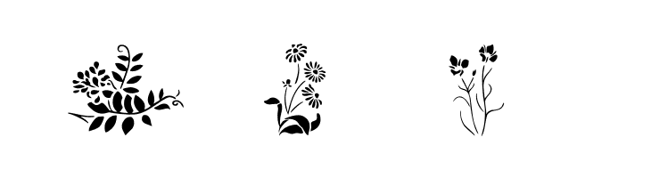 Wildflowers2  Free Fonts Download