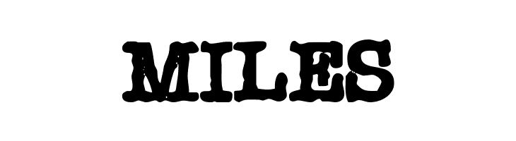 Chonker  Free Fonts Download