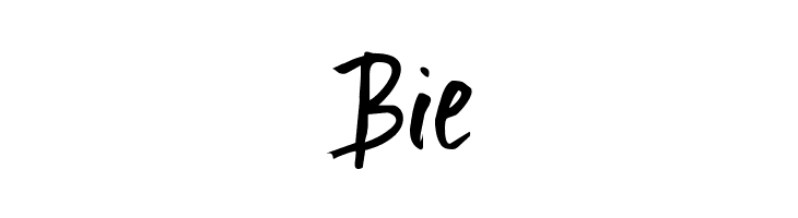 Ignite the Light  Free Fonts Download