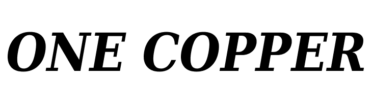 DejaVu Serif Condensed Bold Italic  Free Fonts Download