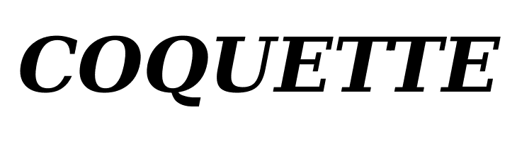 DejaVu Serif Bold Italic  Free Fonts Download