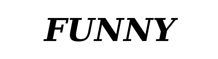 DejaVu Serif Bold Italic  Free Fonts Download