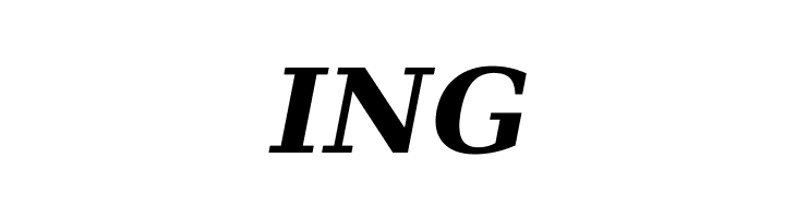 DejaVu Serif Bold Italic  Free Fonts Download