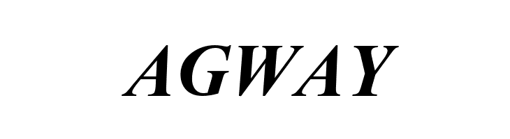 Dai Banna SIL Book Bold Italic  Free Fonts Download