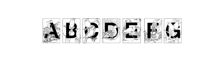 Dover Birds Filled  Free Fonts Download