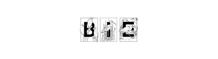 Dover Birds Filled  Free Fonts Download