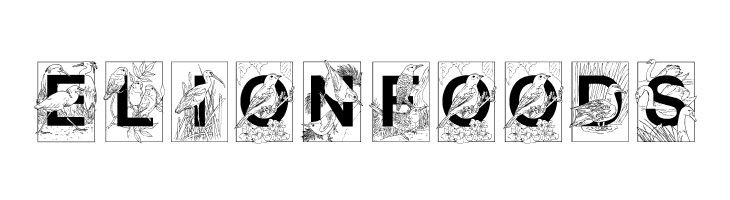 Dover Birds Filled  Free Fonts Download
