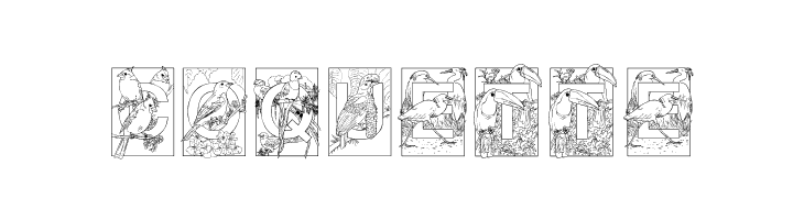 Dover Birds  Free Fonts Download
