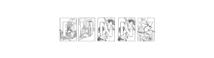 Dover Birds  Free Fonts Download