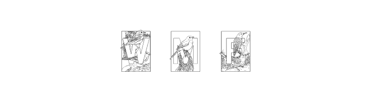 Dover Birds  Free Fonts Download